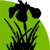Jackson Landscape logo